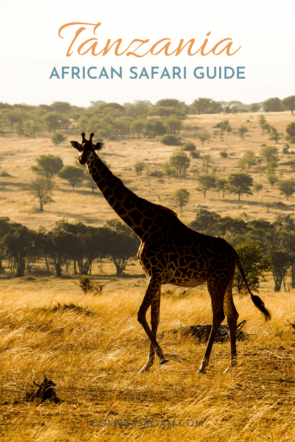 pinterest image - tanzania safari honeymoon guide