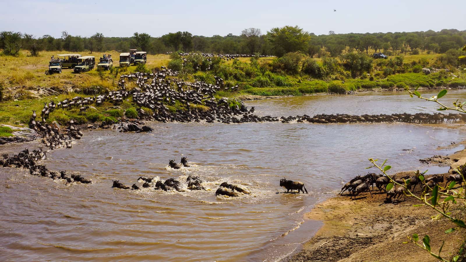 Tanzania Mara crossing