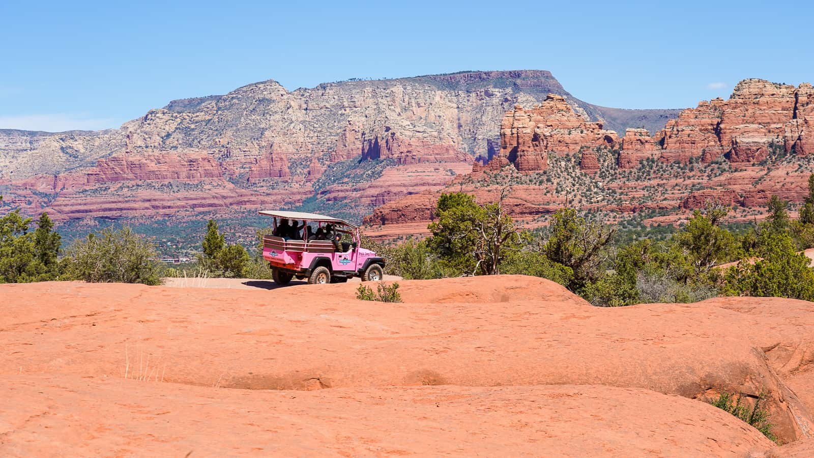 pink jeep tours