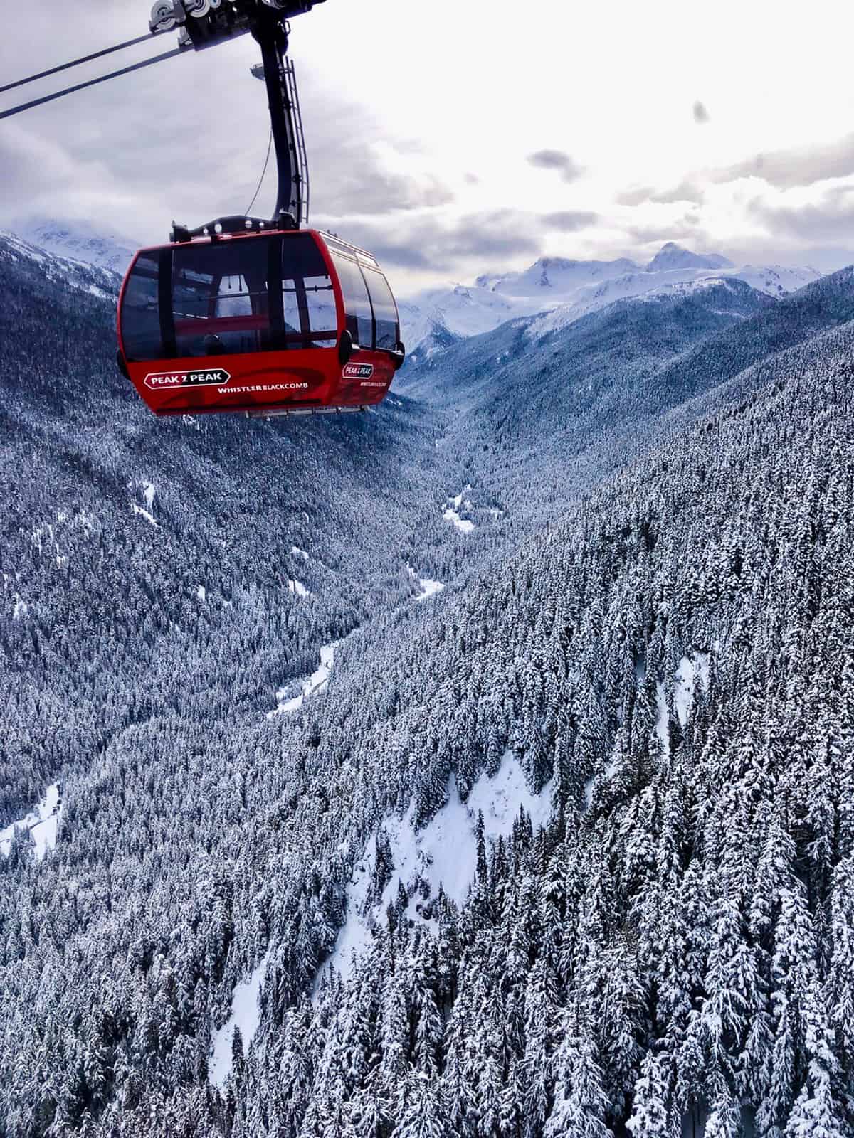 view-from-gondola-2