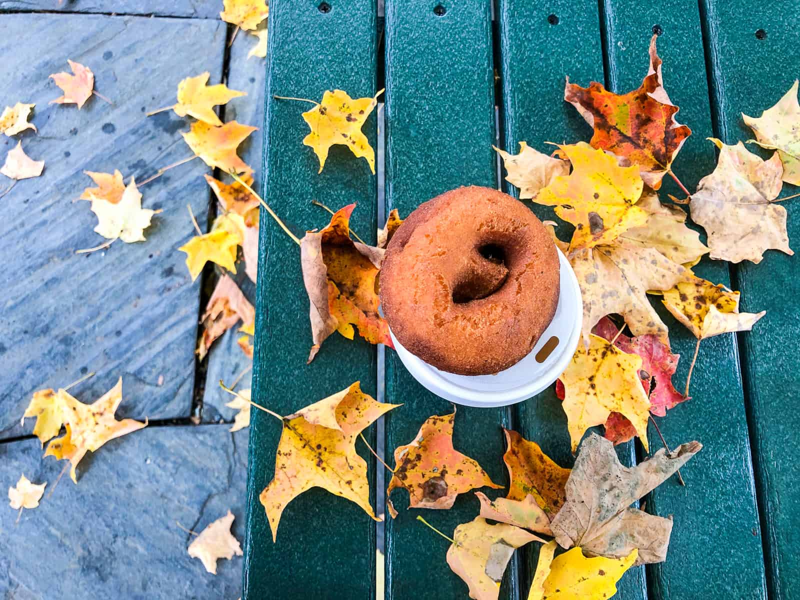 apple cider doughnut and leaves