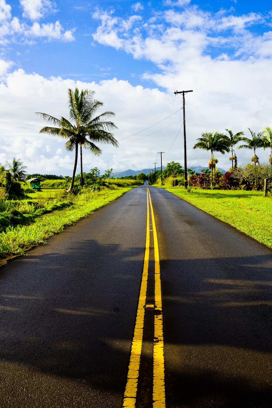 road in kauai