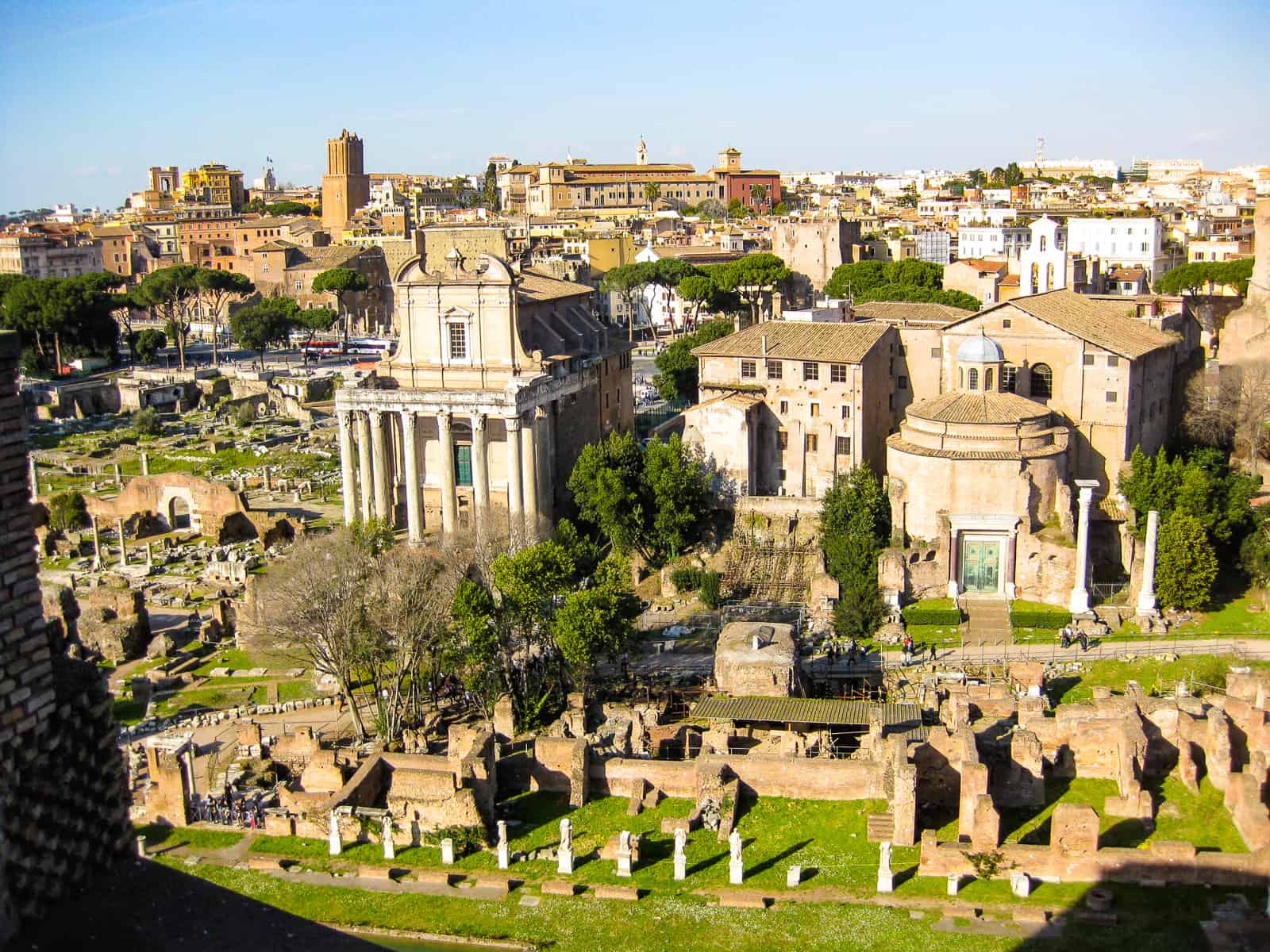 roman forum from the palantine hill