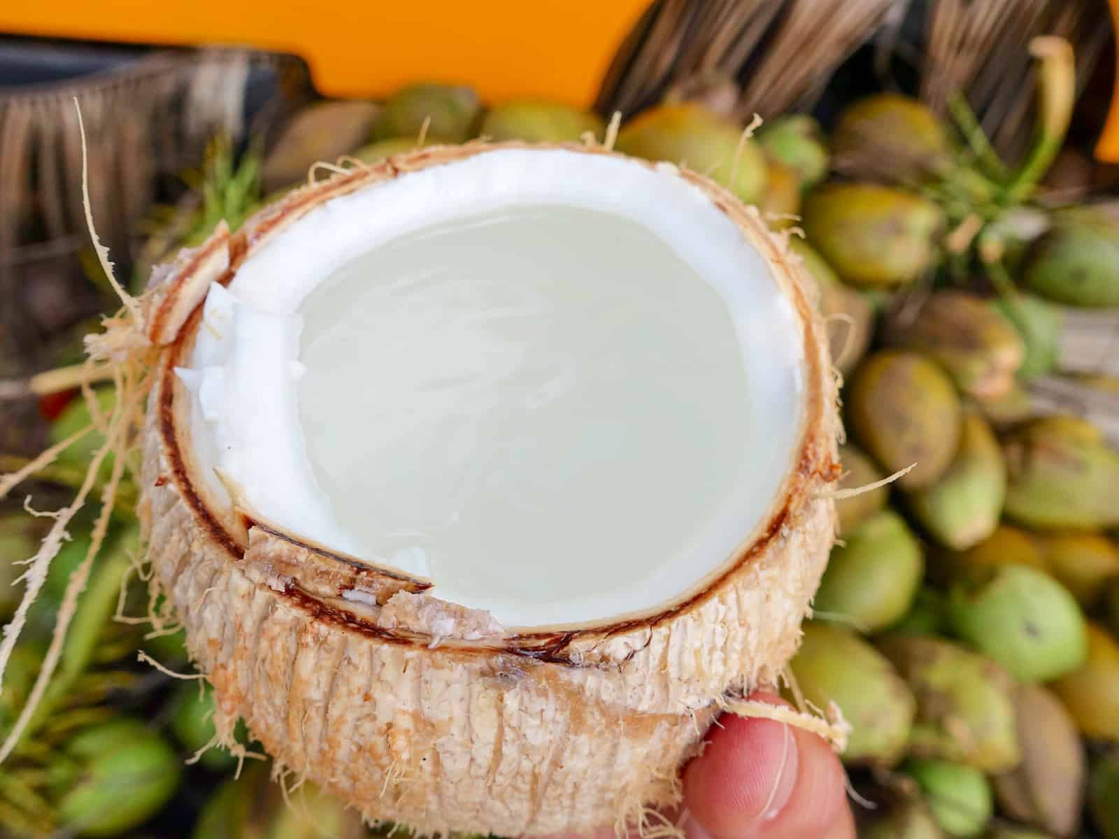 coconut road to Hana