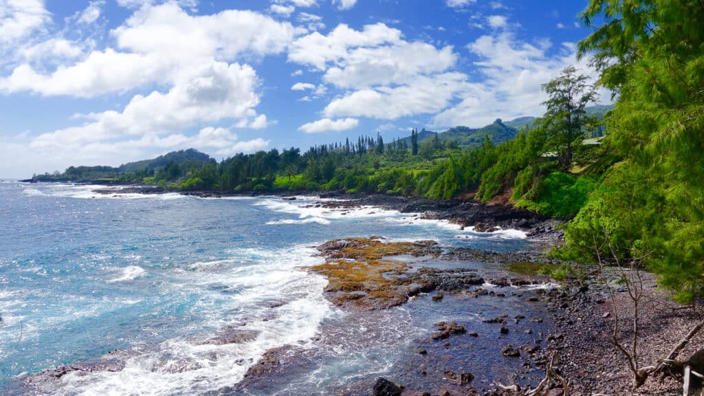 road to Hana coastline - unforgettable Hawaiian road trip