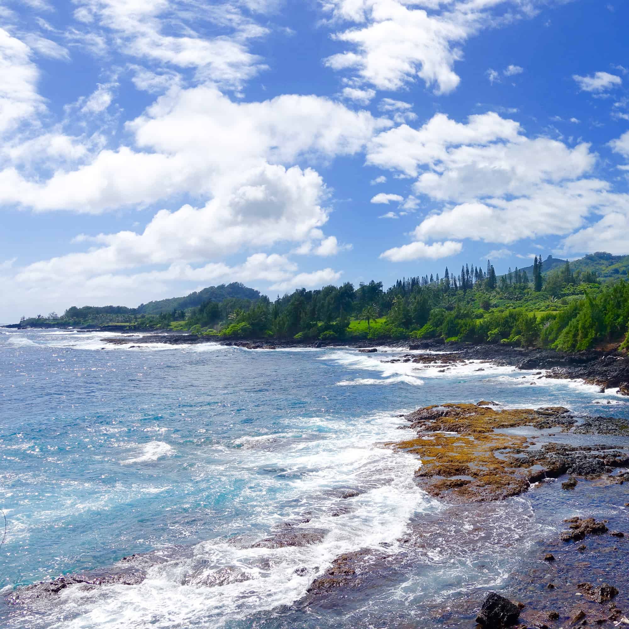 An Unforgettable Hawaiian Road Trip - The Road to Hana