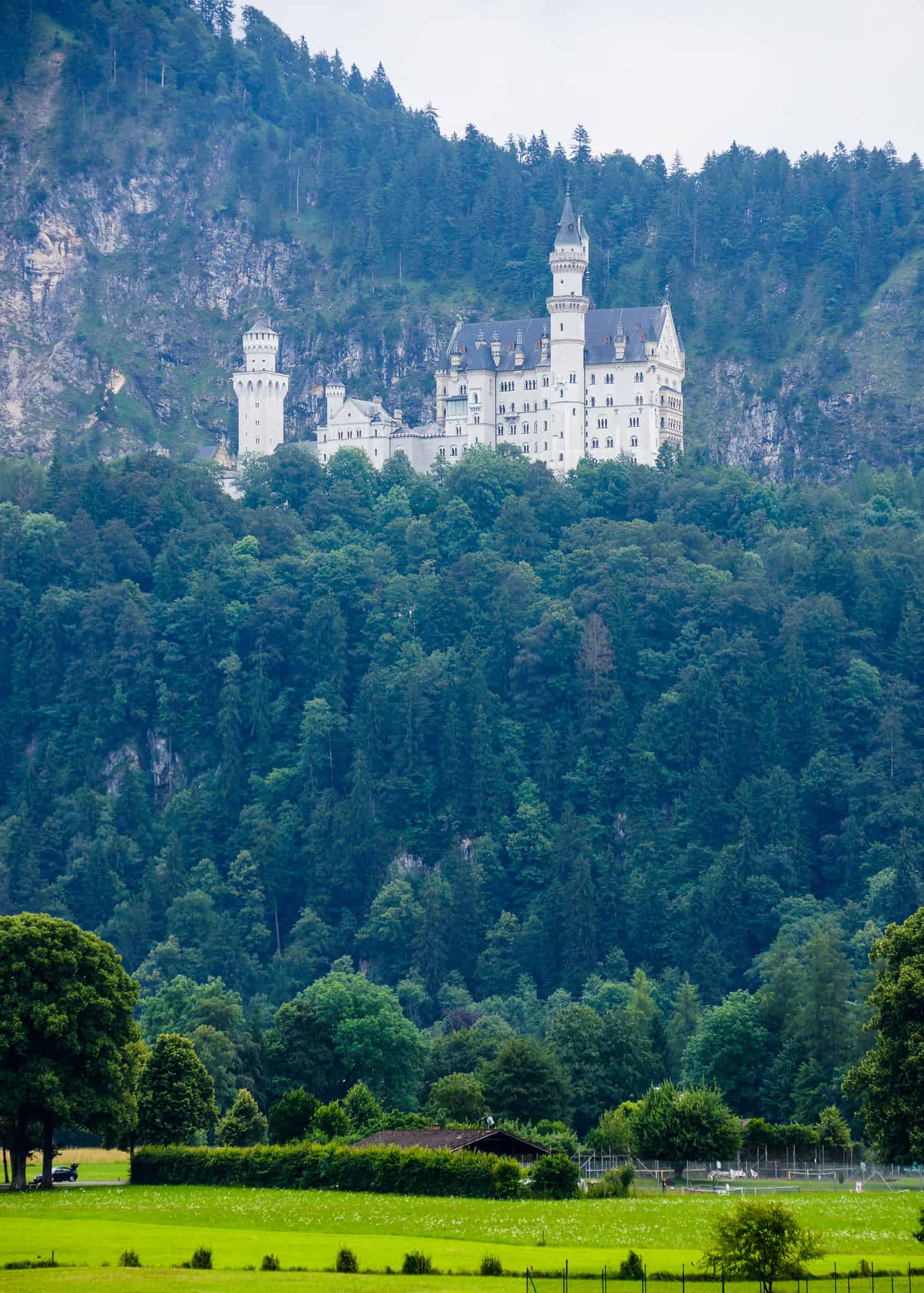 neuschwanstein castle and valley - munich with kids
